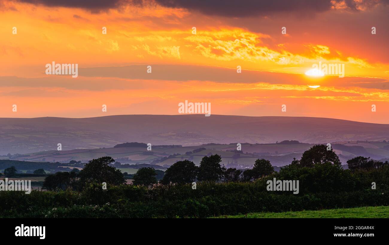 Vista dei campi di Torquay al tramonto, Devon, Inghilterra, Europa Foto Stock Vista dei campi di Torquay al tramonto, Devon, Inghilterra, Europa Foto Stock