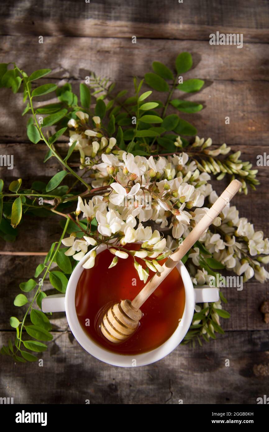 Presentazione del piccolo contenitore con miele di acacia con il suo fiore Foto Stock