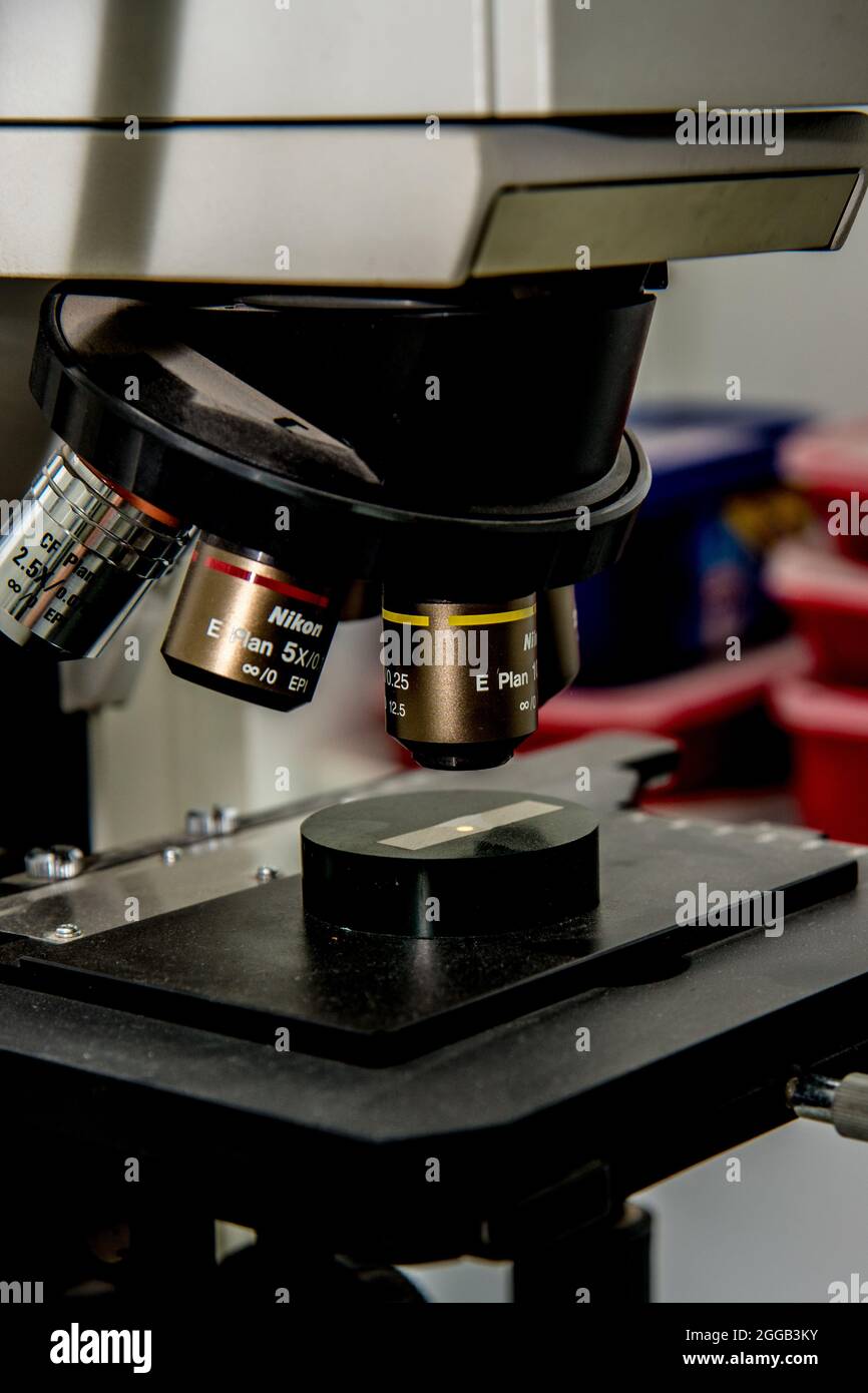 La metallurgia è un ambito di scienza e ingegneria dei materiali che studia il comportamento fisico e chimico degli elementi metallici, i loro intermetallici Foto Stock