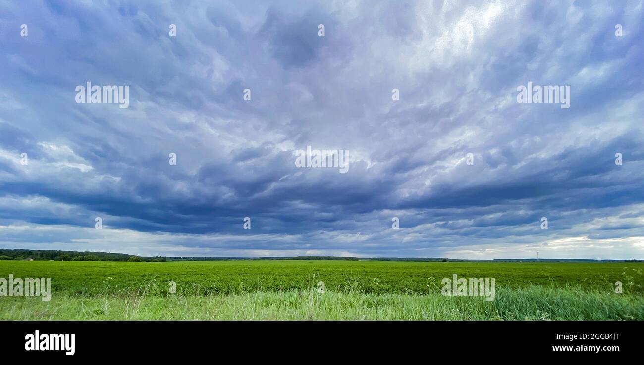 Enormi nuvole viola tempesta su un campo verde. Spazio di copia. Foto Stock