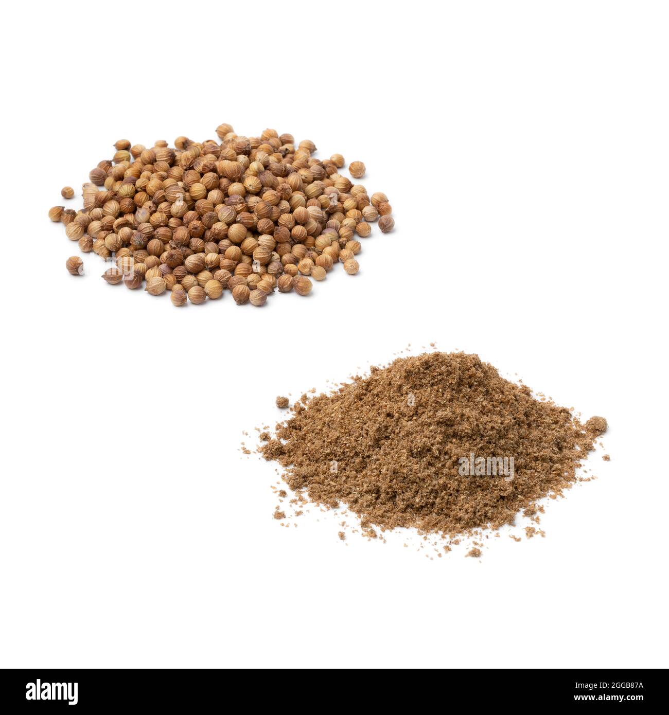 Cumulo di semi di coriandolo essiccato e coriandolo macinato isolato su sfondo bianco Foto Stock