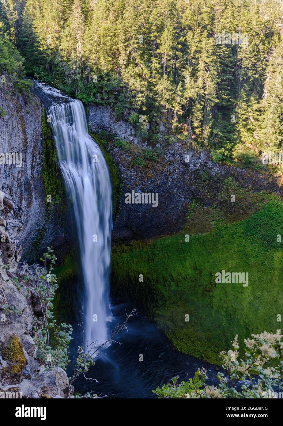 Cascate di Salt Creek. Oakridge, Oregon, Stati Uniti. Foto Stock