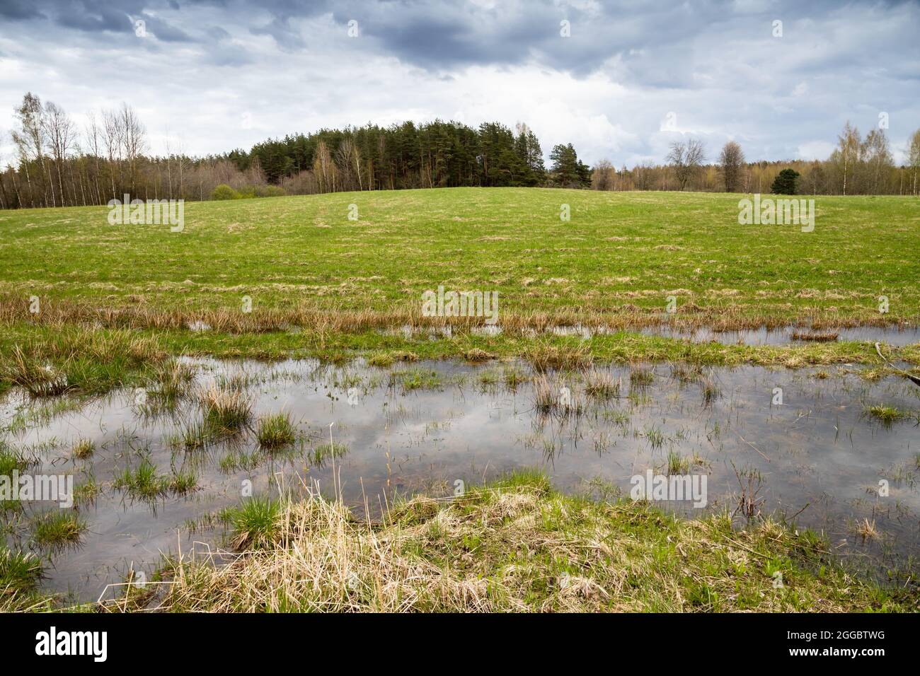 Paesaggio rurale russo vuoto con prati allagati Foto Stock