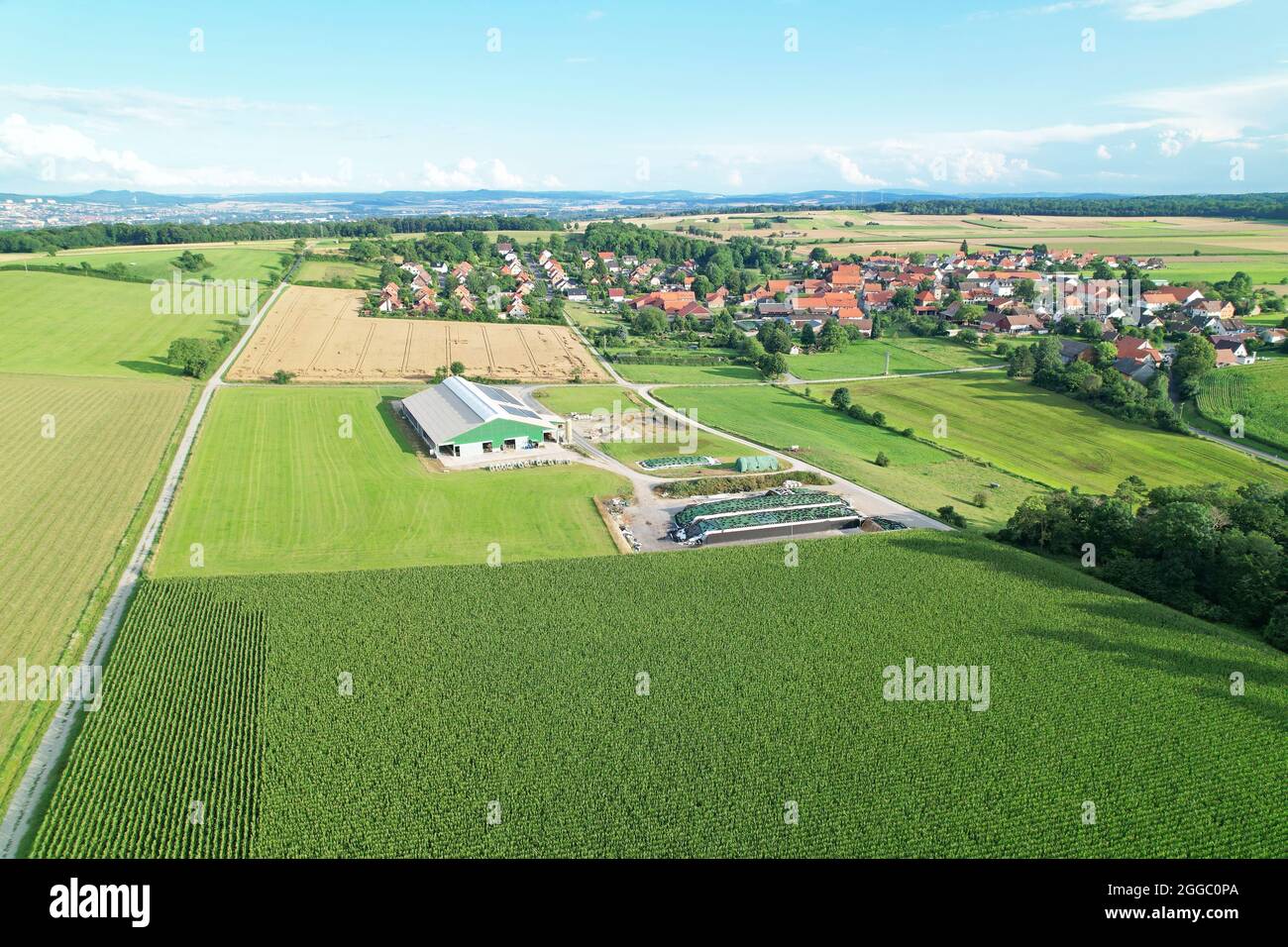 Scatto aereo di un'azienda agricola di mucca con un bel vilylage vicino ad esso, circondato dalla natura. Foto Stock