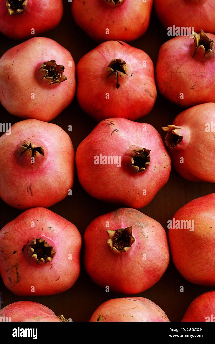 Melagrane rosse in scatola, vista dall'alto - Rosh Hashana Foto Stock