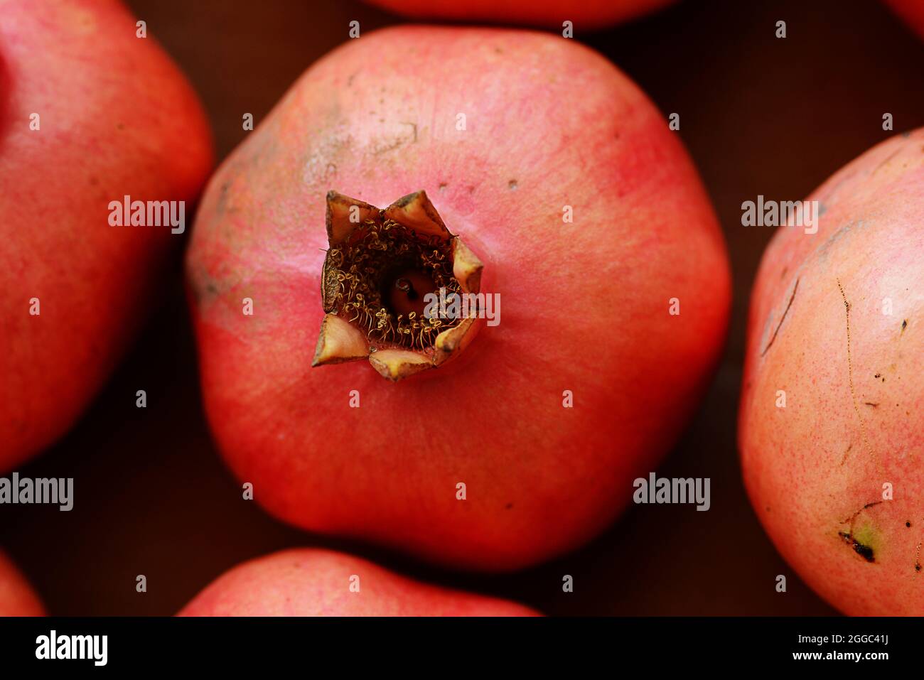 Melagrane rosse in scatola, vista dall'alto - Rosh Hashana Foto Stock