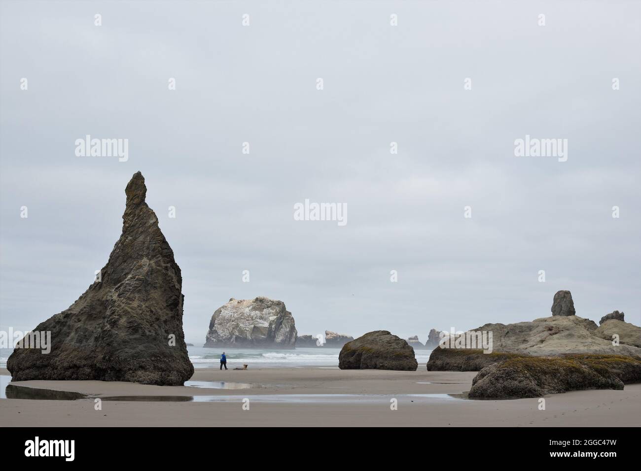 Una persona e un cane che camminano tra le pile di mare sulla costa dell'Oregon a Bandon. Foto Stock