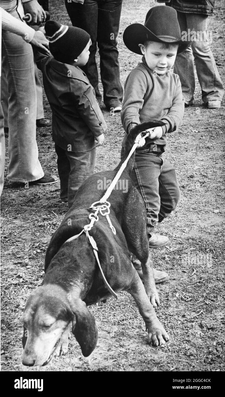 ©1978 il ragazzo del Texas tenta di trattenere un cane del cane al programma del cane. Foto Stock