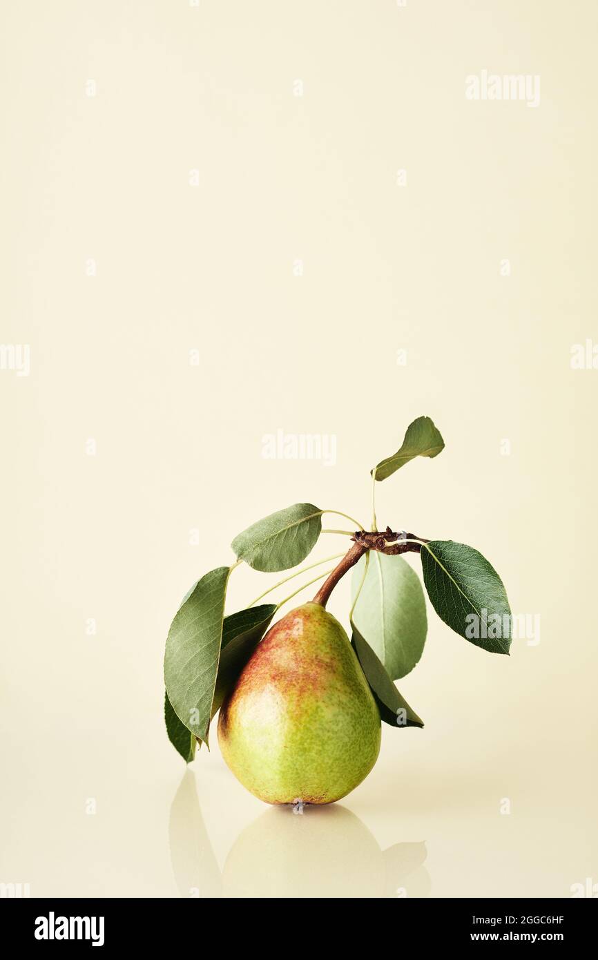 Pera matura con foglie su sfondo giallo. Concetto di frutta estiva. Foto Stock