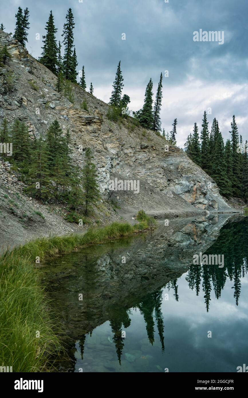 Suggestivo paesaggio della foresta dell'alaska, il McKinley Park offre pini verdi e acque cristalline del lago di ferro di cavallo Foto Stock