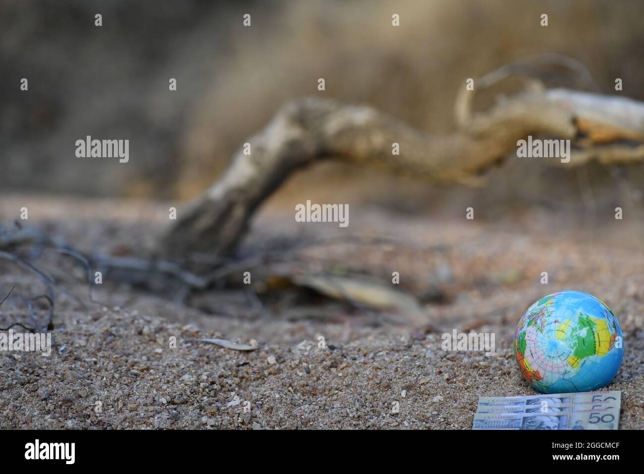 Terra globo seduto sulla sabbia del fiume con gruppo di banconote in natura. Foto Stock