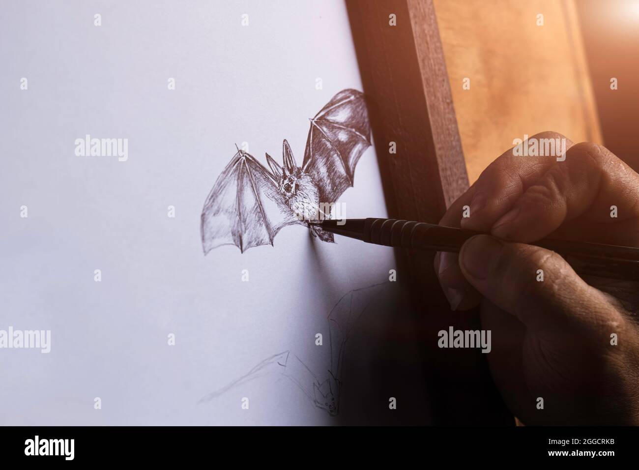 Man mano che disegna un pipistrello su carta bianca. Foto Stock