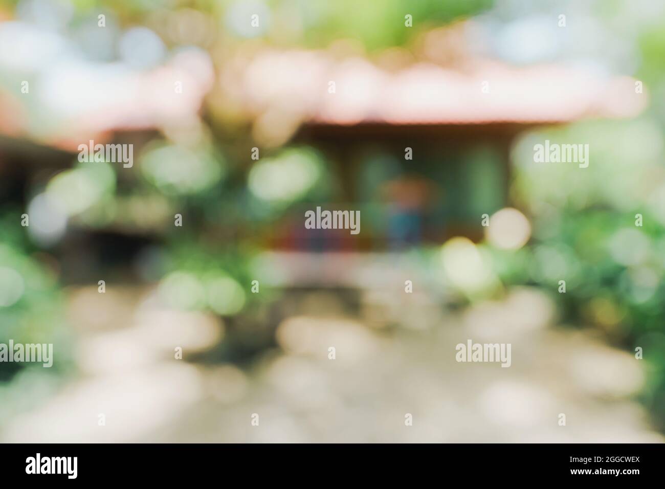 Bokeh sfocati e la sfocatura sullo sfondo di un giardino di alberi nella luce solare. Foto Stock