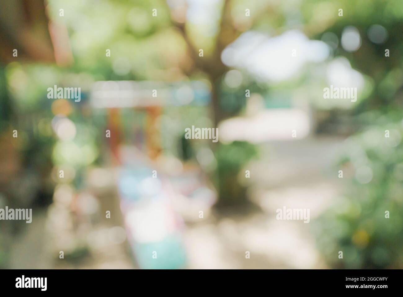 Bokeh sfocati e la sfocatura sullo sfondo di un giardino di alberi nella luce solare. Foto Stock