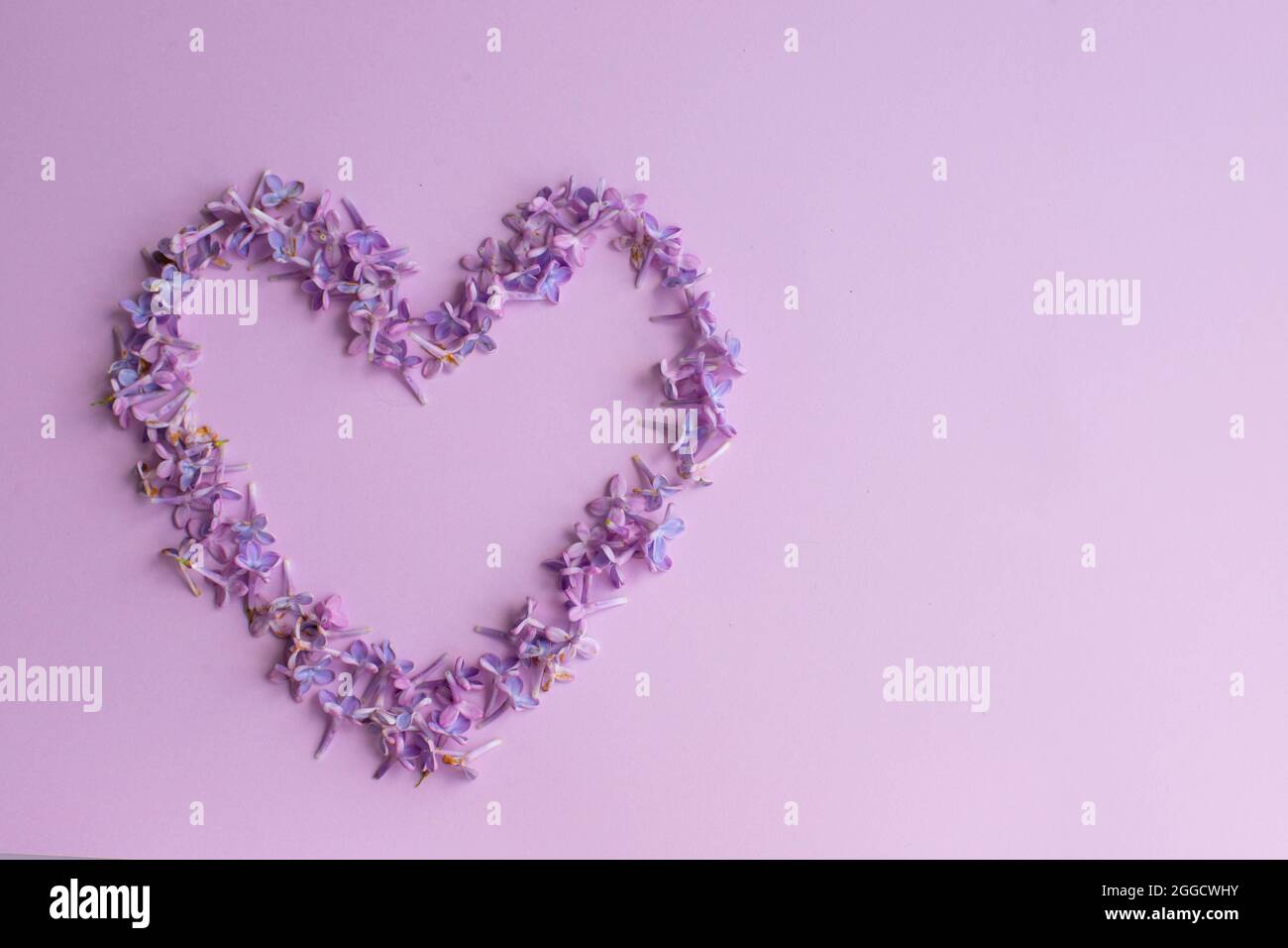 Cuore di fiori viola lilla Foto Stock