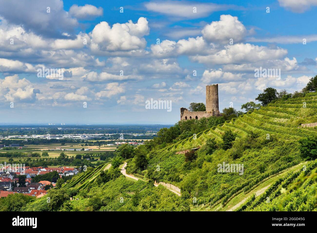 Vista sulla collina delle fortune di Odenwald con rovine del castello tedesco e ristorante chiamato Strahlenburg nella città di Schriesheim Foto Stock