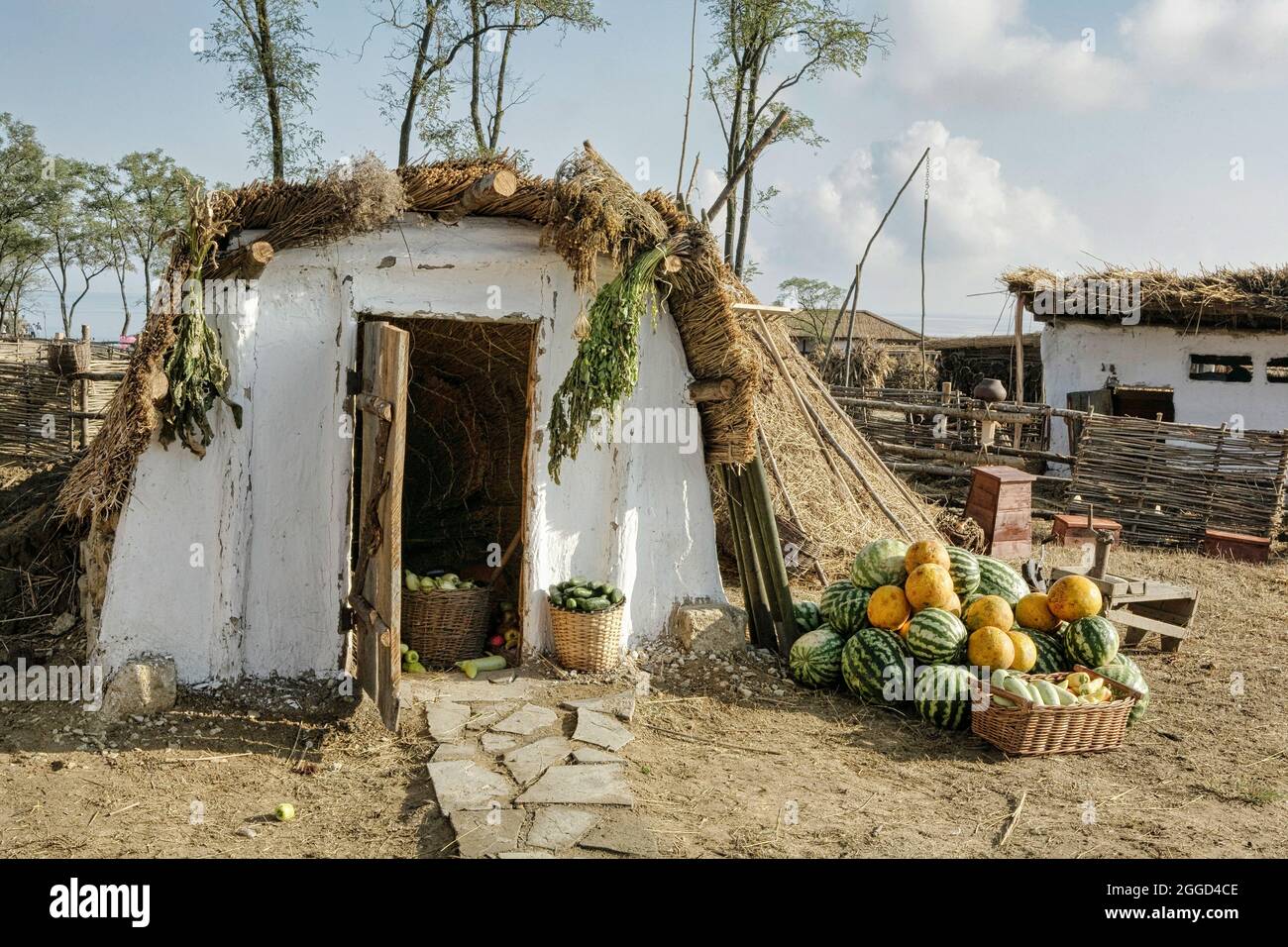 Fattoria, museo etnografico, Taman, Krasnodar krai, Russia Foto Stock