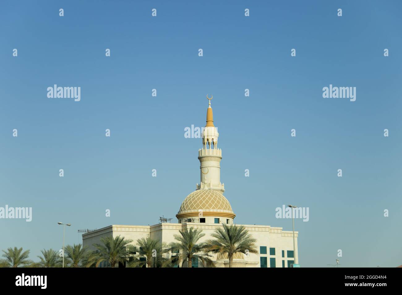 In piedi da solo, splendida moschea separata con Blue Sky e Green Palm Trees Foto Stock