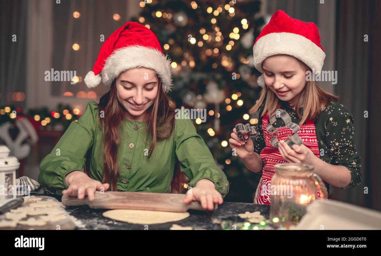 Buone amiche preparare pan di zenzero sotto l'albero di natale Foto Stock