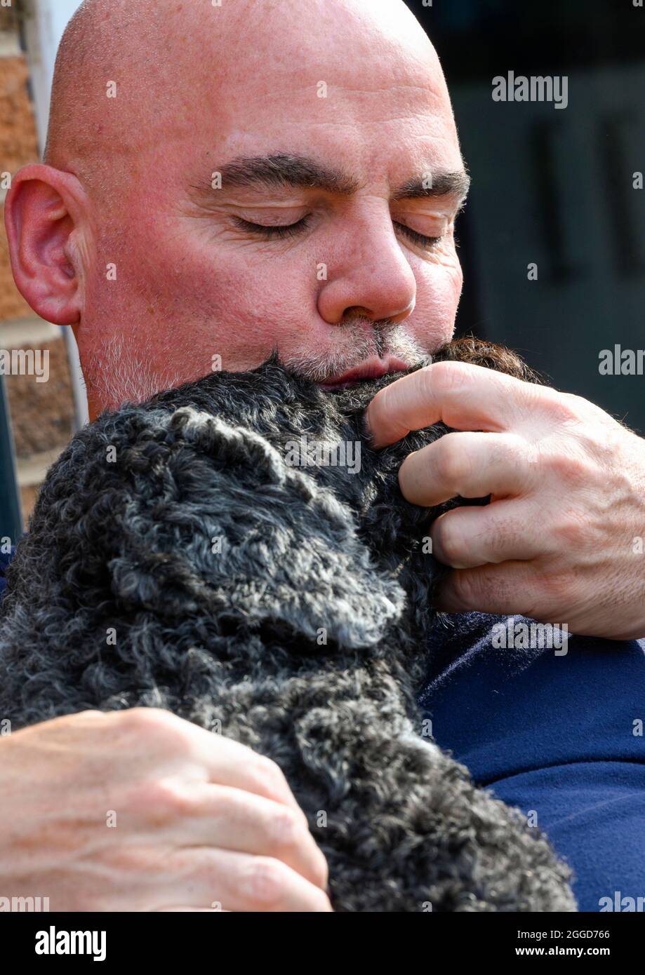 Calvo capo uomo che ha una coccola affettuosa con un cane Labradoodle dai capelli neri Foto Stock
