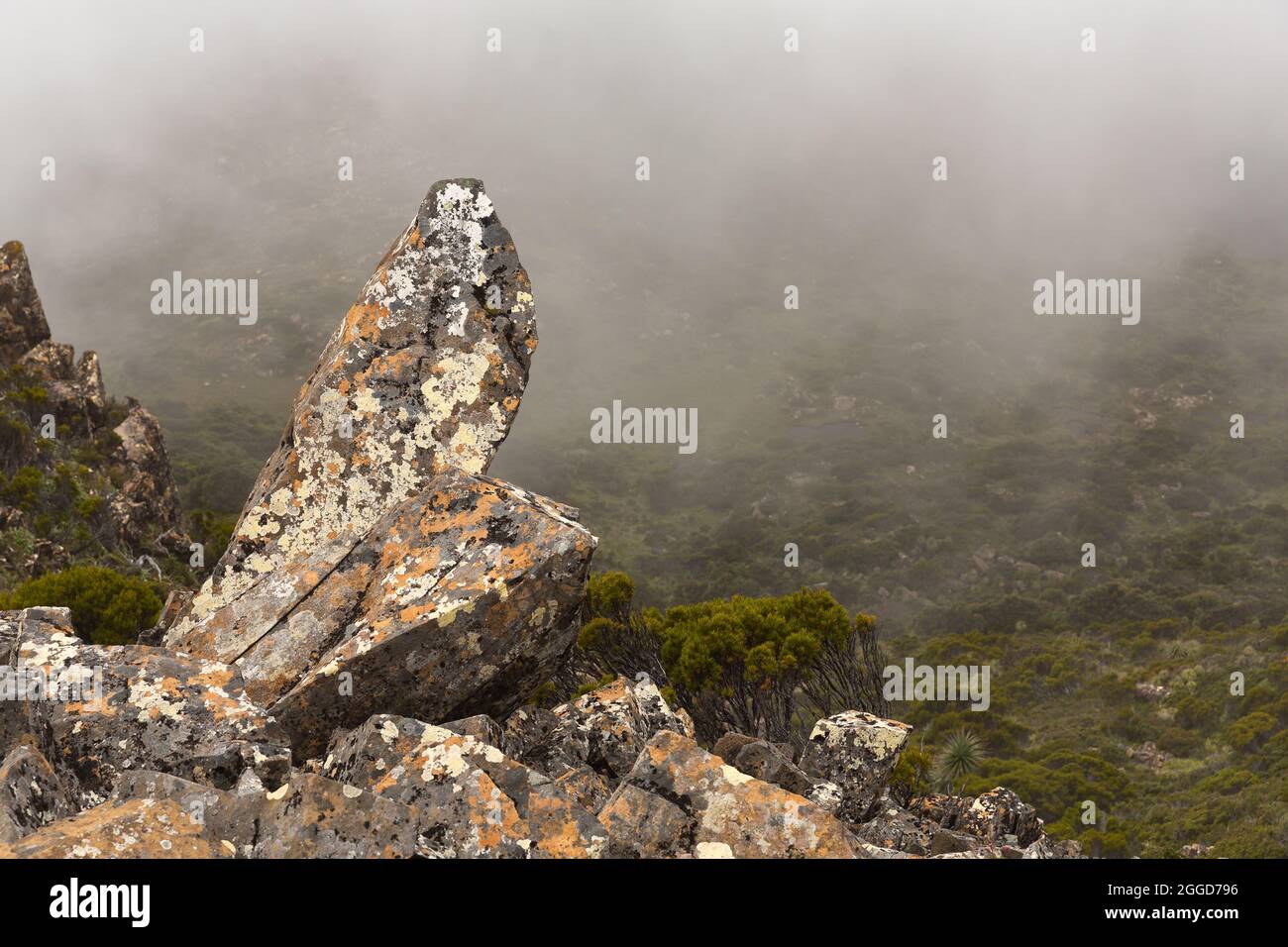 Paesaggio di rocce e verde coperto dalla nebbia nel Parco Nazionale delle Montagne di Hartz, Australia Foto Stock