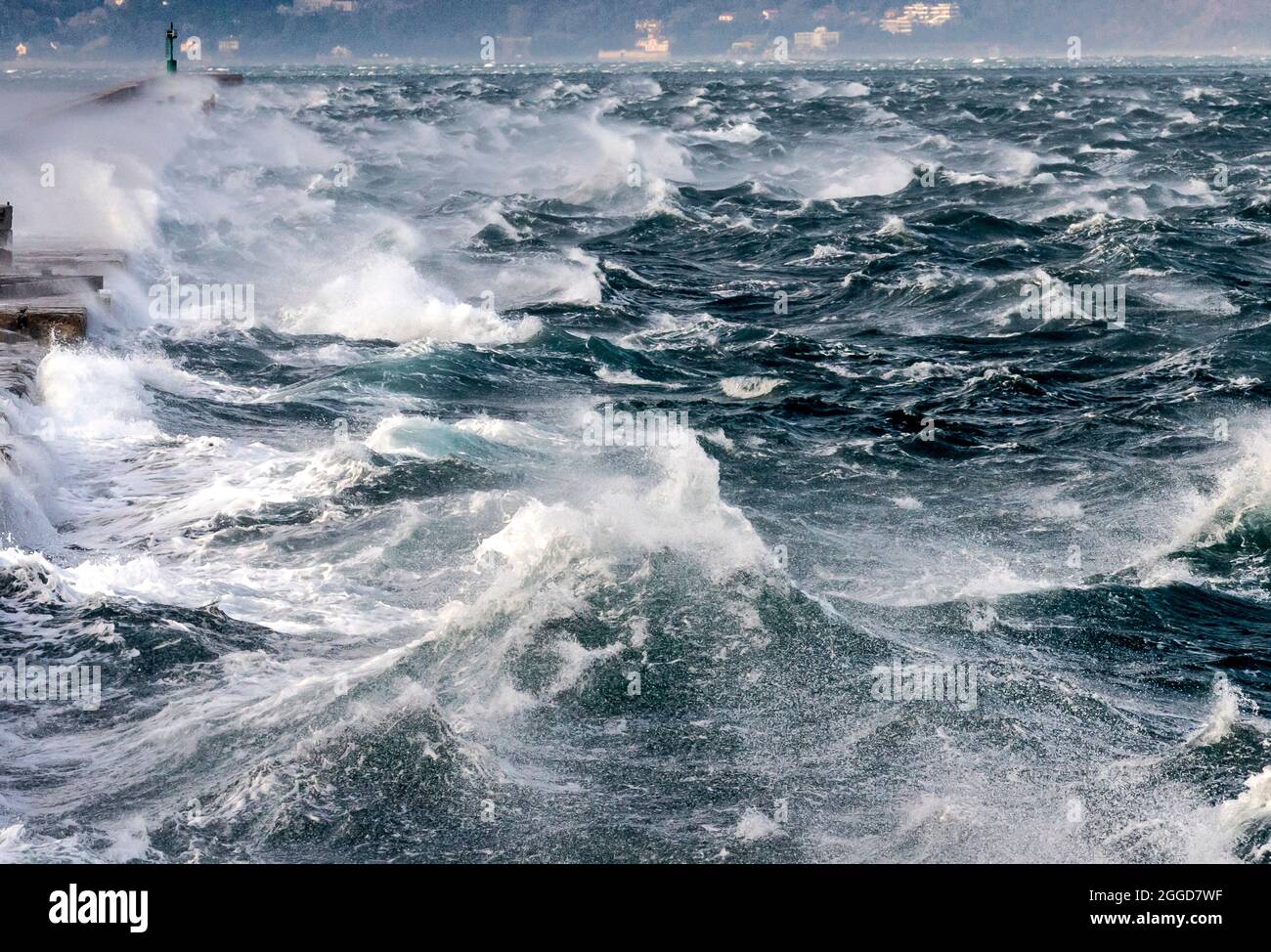 Città di Trieste e Mare Adriatico durante il fenomeno del vento chiamato Bora, Friuli-Venezia Giulia, Italia, Europa Foto Stock