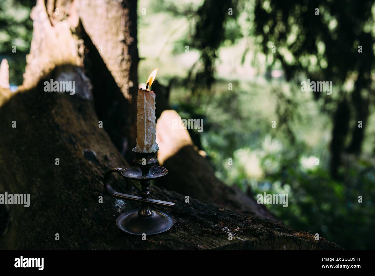 Candela che brucia nella foresta incantata. Concetto occulto, esoterico. Foto Stock