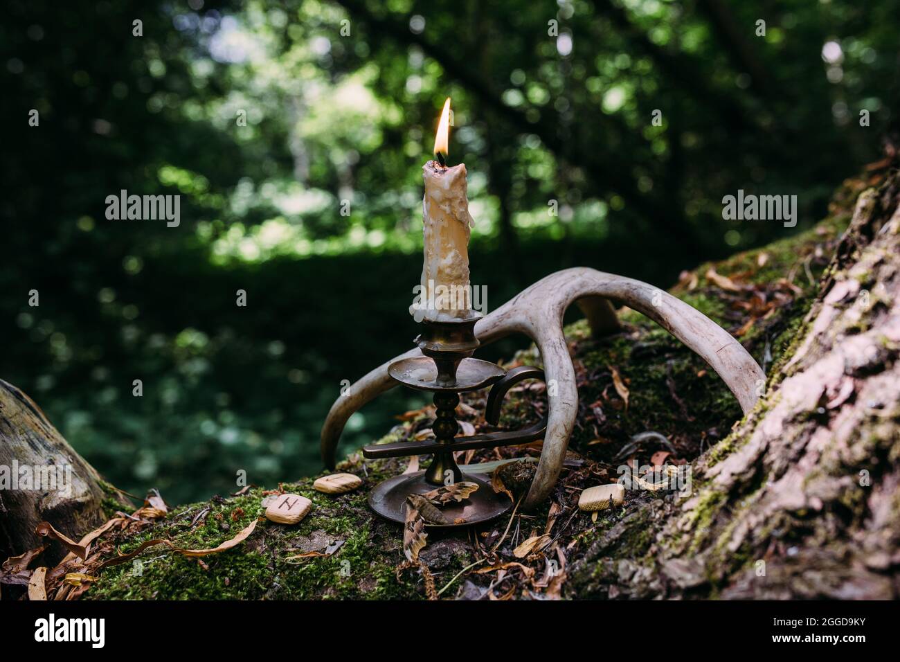 Candela che brucia nella foresta incantata. Concetto occulto, esoterico. Foto Stock