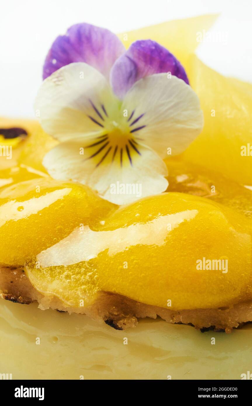 Budino di soia e vaniglia, panna di zucca e sciroppo di zucca Foto Stock