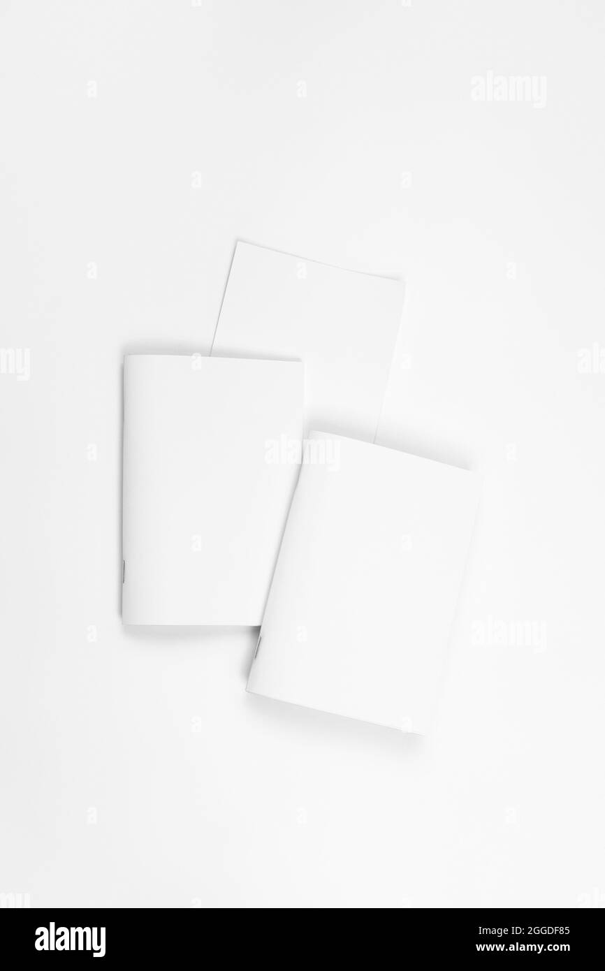 Simulazione di notebook. Fogli bianchi di carta per brochure o notebook su sfondo bianco isolato, vista dall'alto Foto Stock
