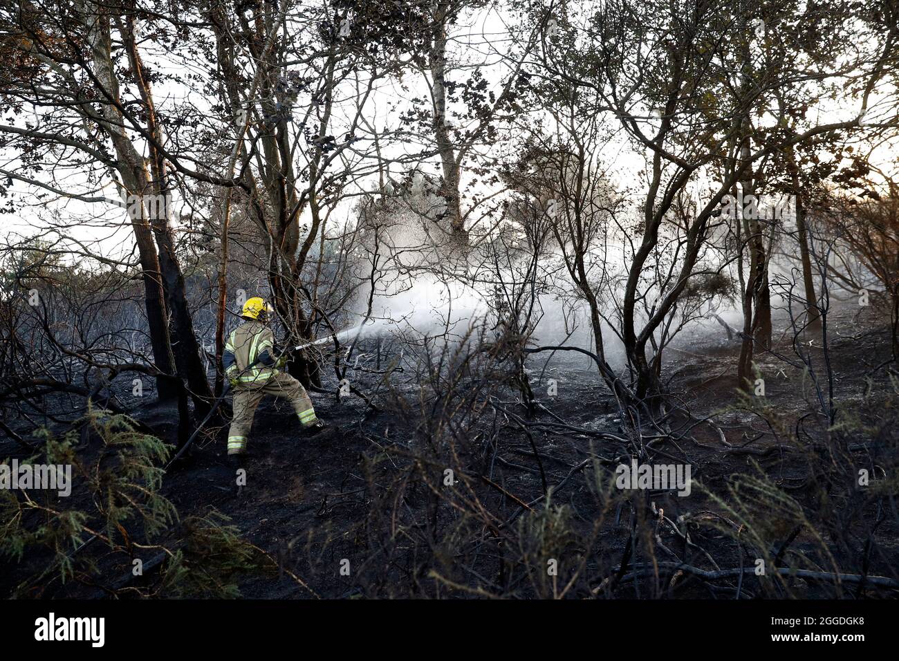 I vigili del fuoco dell'Hampshire Fire and Rescue spruzzano acqua per adornare le fiamme e gettare un fuoco selvatico sulla brughiera vicino a Yateley. Foto Stock