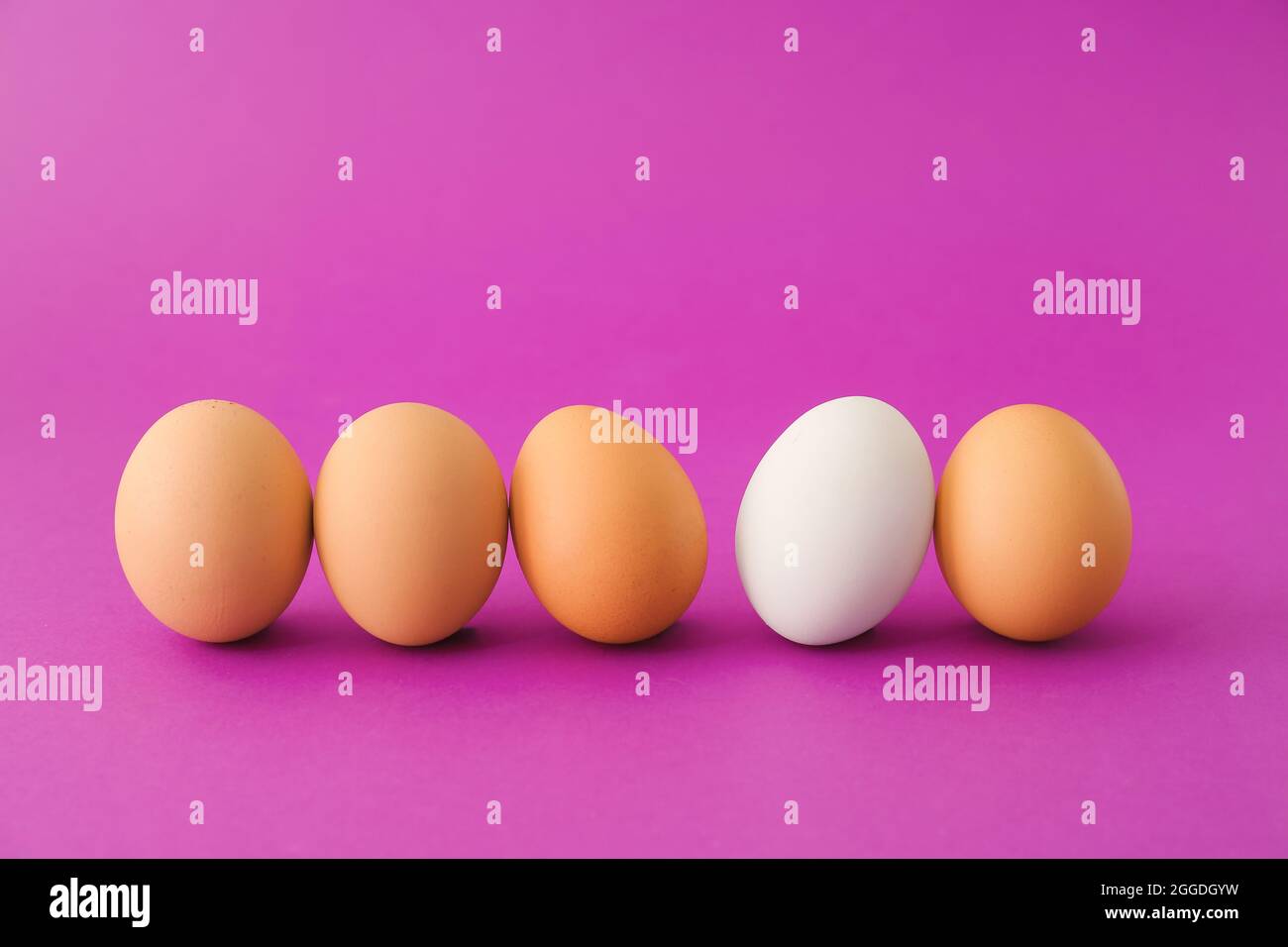 Uovo bianco tra quelli marroni su sfondo colorato. Concetto di unicità Foto Stock