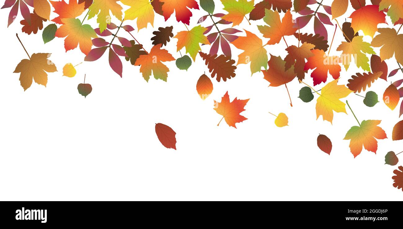 file vettoriale eps con foglie colorate di fine estate o caduta sullo sfondo del lato superiore Illustrazione Vettoriale