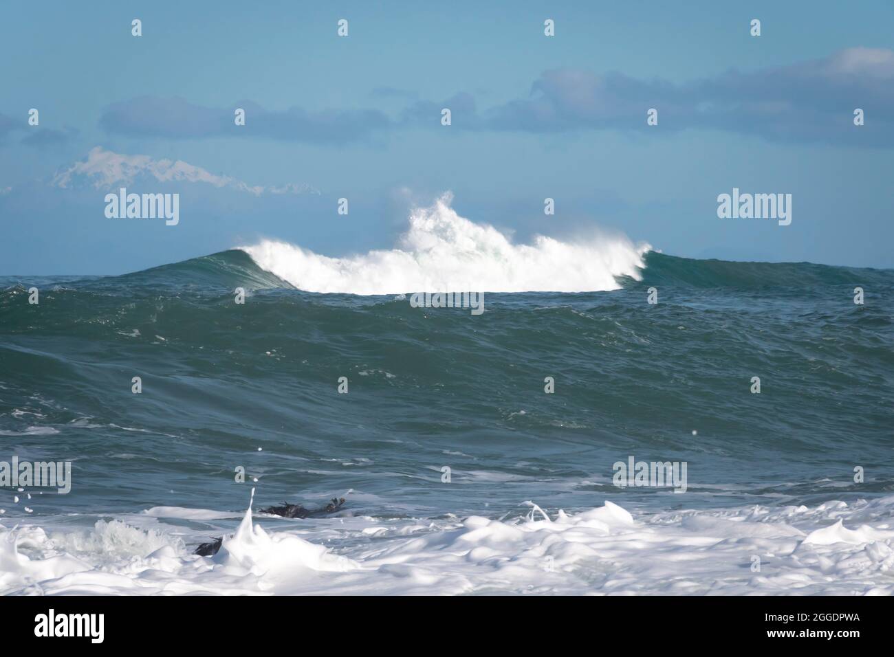 Breaking Waves, Owhiro Bay, Wellington, Isola del Nord, Nuova Zelanda,. Kaikoura Snowclad varia in distanza. Foto Stock