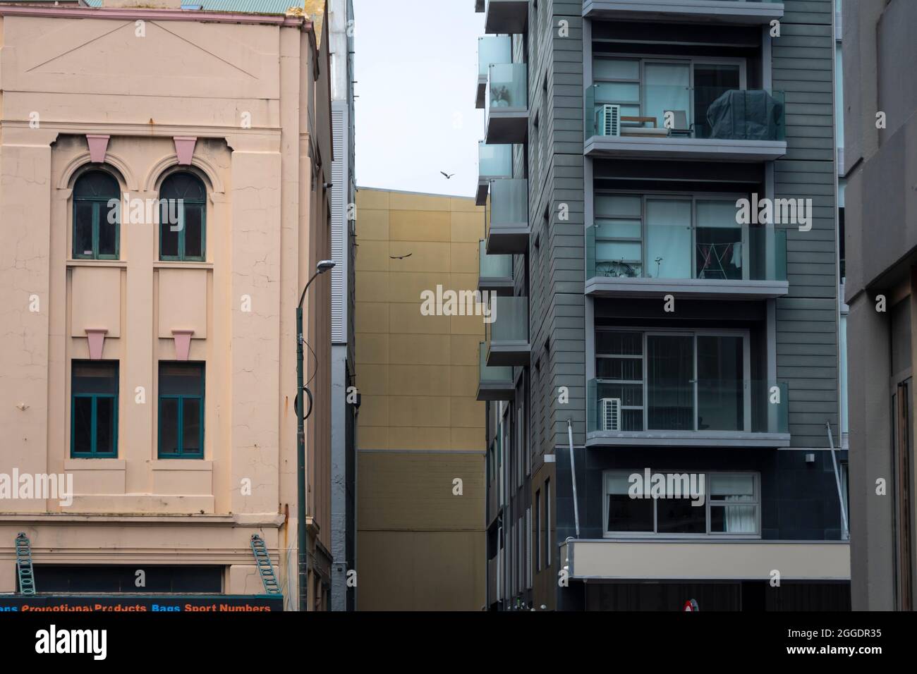 Vecchi e nuovi edifici di appartamenti, Wellington, Isola del Nord, Nuova Zelanda Foto Stock