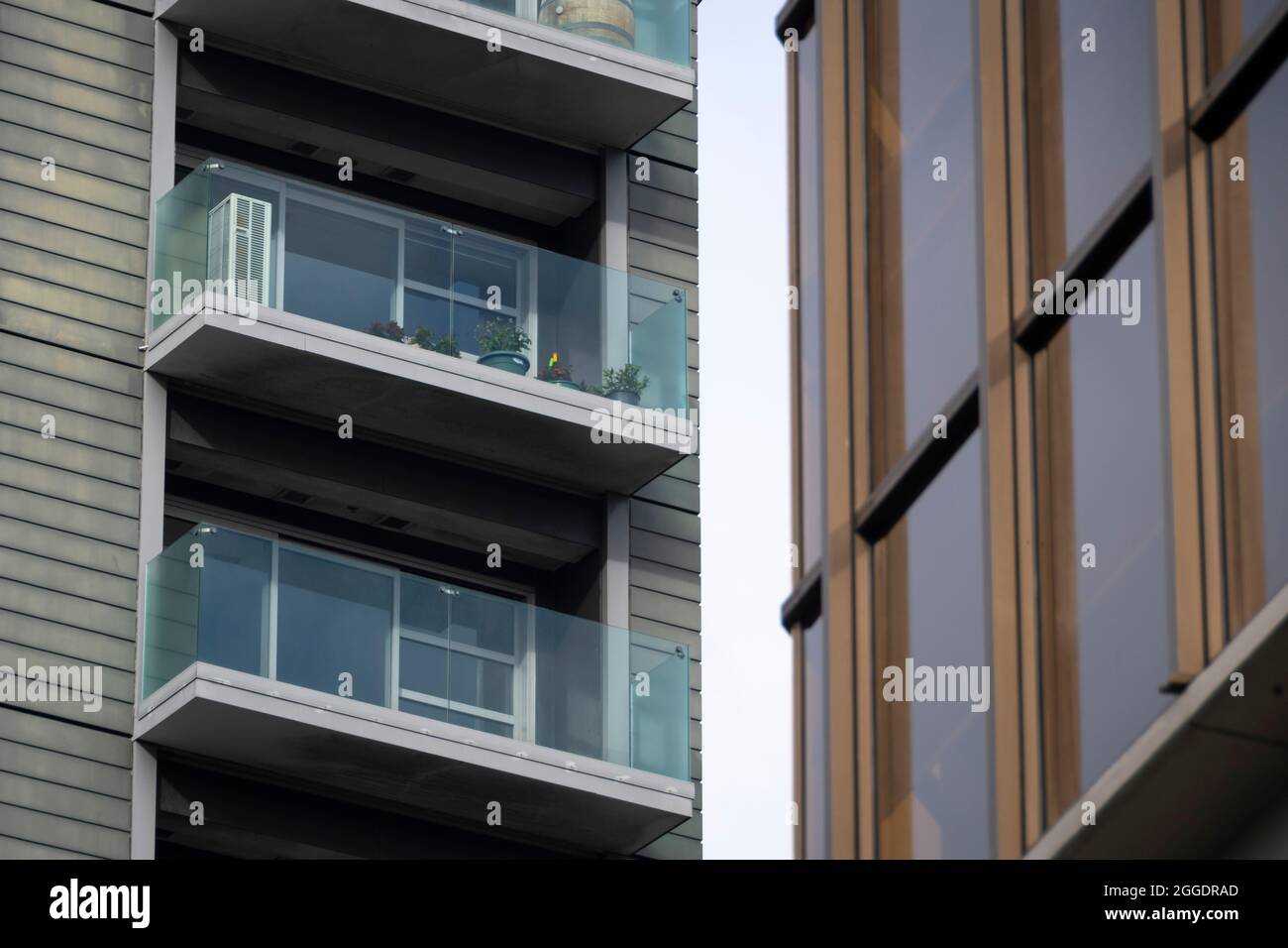 Edifici di appartamenti, Wellington, Isola del Nord, Nuova Zelanda Foto Stock
