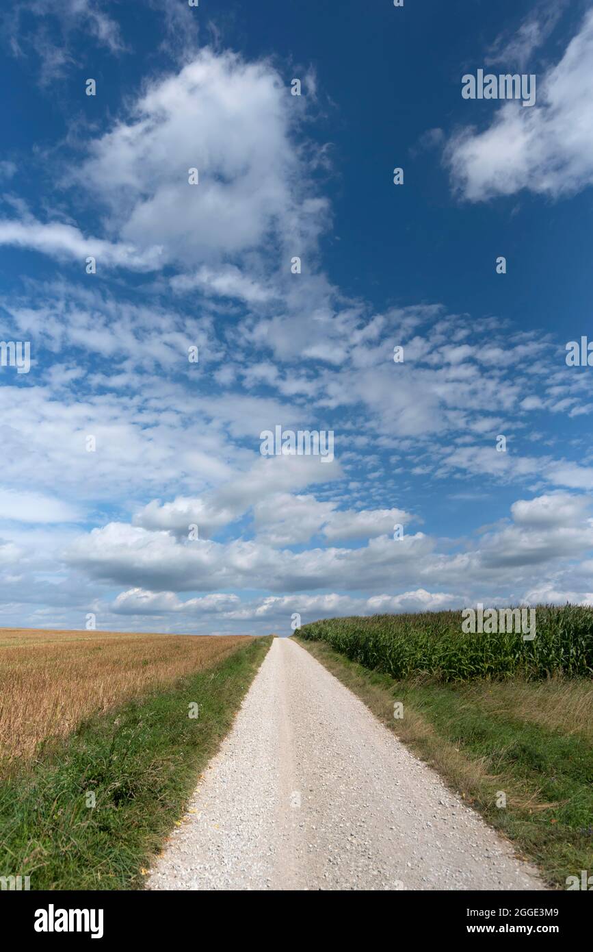 Paesaggio agricolo con percorso campo, cielo nuvoloso, Baviera, Germania Foto Stock