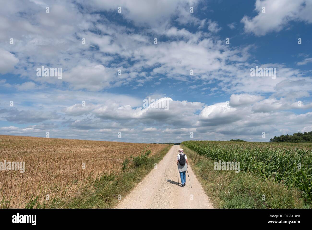 Escursionista su un percorso di campo, cielo nuvoloso, Baviera, Germania Foto Stock