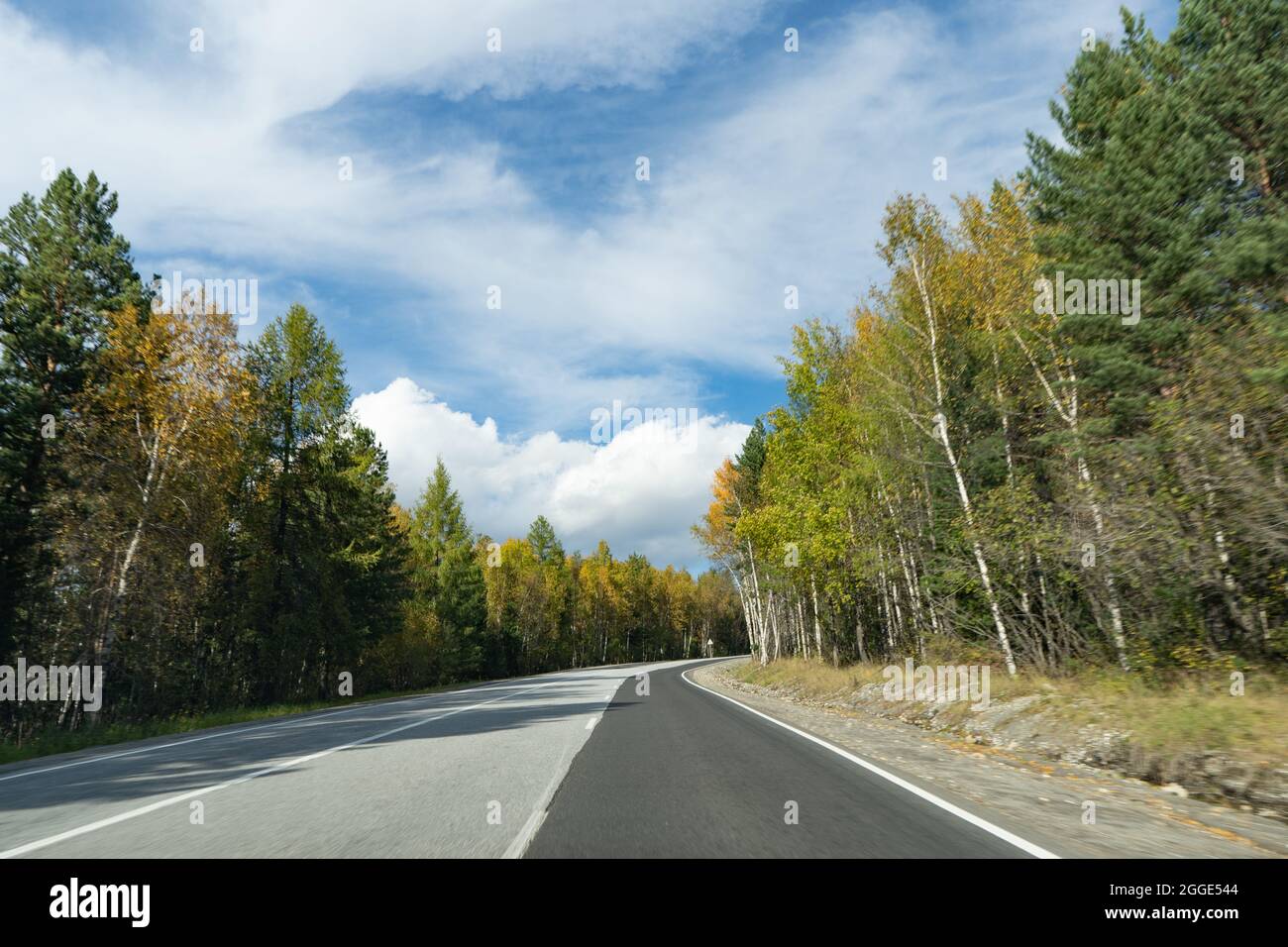 Paesaggio con una strada con una foresta autunnale ai lati. Foto Stock