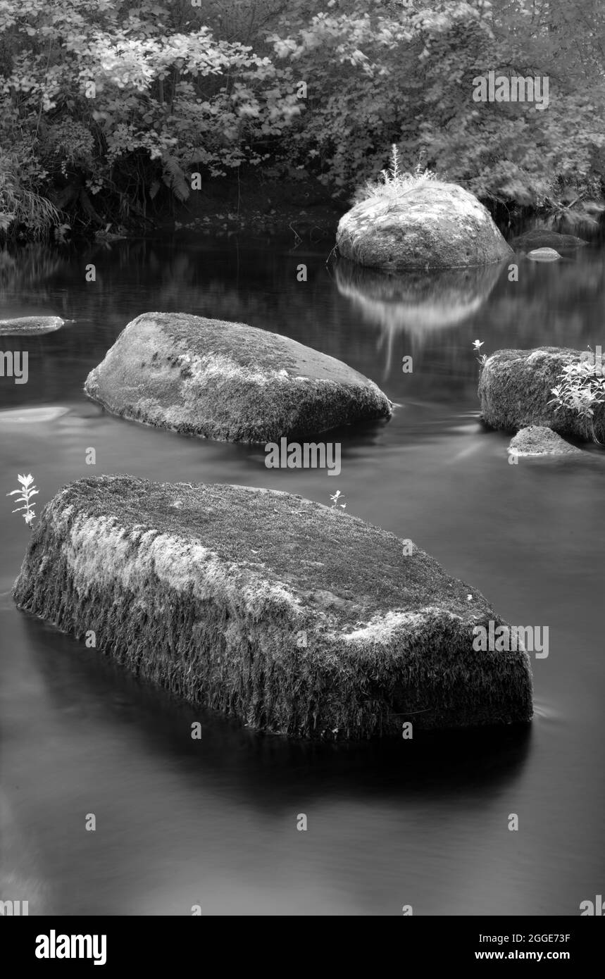 Immagine infrarossa, Vallee du le Leguer, fiume dei pesci migratori, Tonquedec, Cotes-d'Armor, Bretagna, Francia Foto Stock