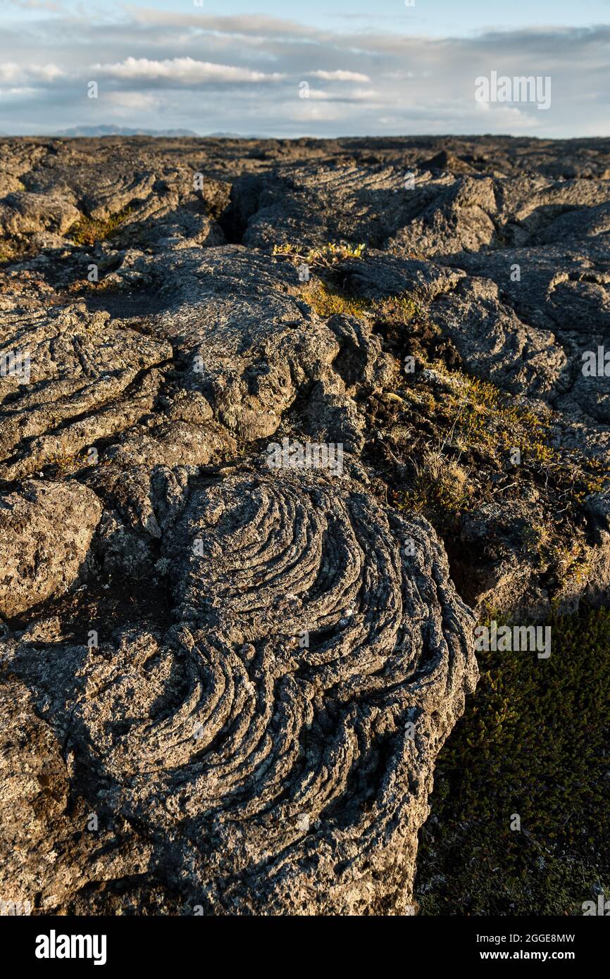 Lava solidificata, flusso di lava, Heroubreioarlindir, Highlands islandesi, Islanda Foto Stock