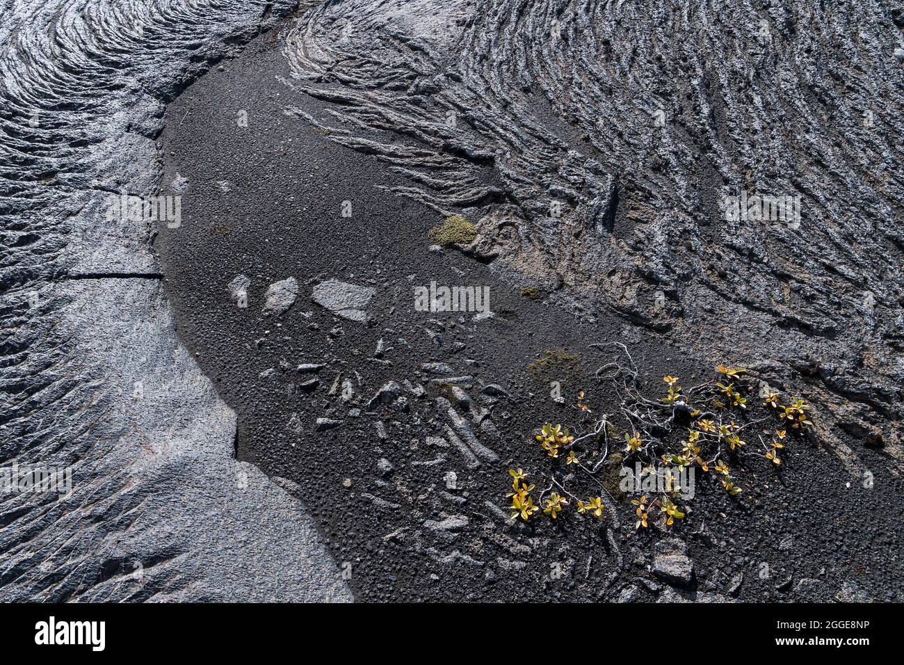 Lava solidificata, flusso di lava, Odaoahraun, altopiani islandesi, Islanda Foto Stock