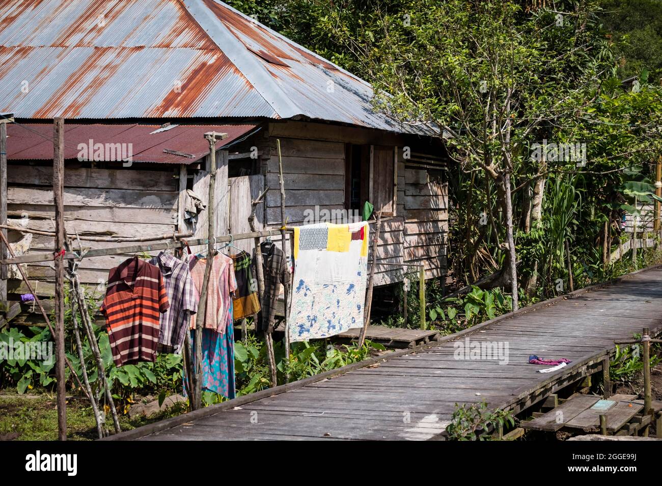 Villaggio nella giungla con capanna di legno sul fiume Sekonyer, Parco Nazionale Tanjung Puting, Kalimantan centrale, Borneo, Indonesia Foto Stock