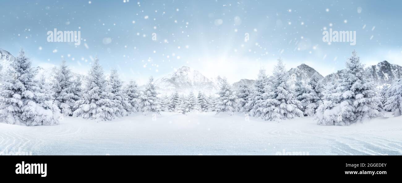 Scena invernale. Nevicate nella foresta invernale Foto Stock