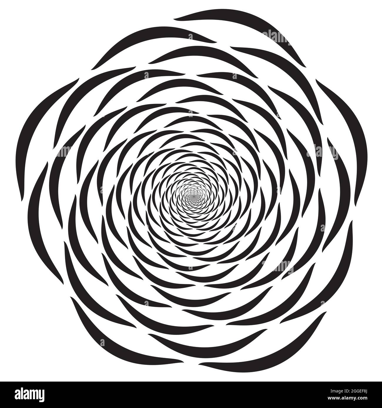 Forma curva ruotata in modello fibonacci Illustrazione Vettoriale