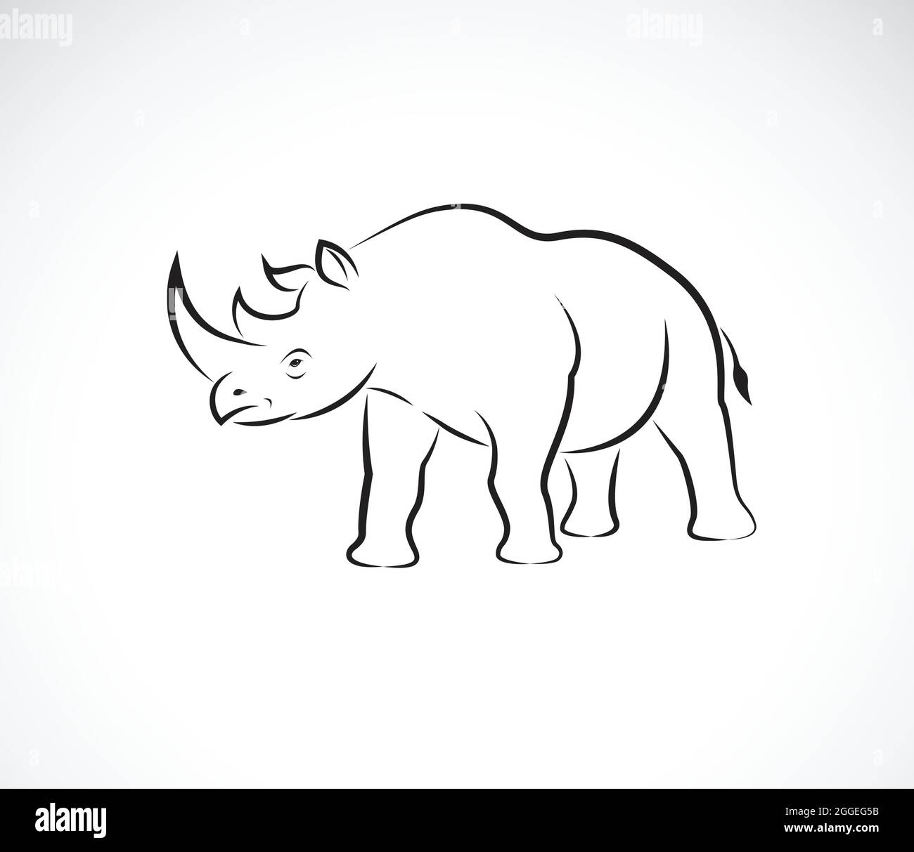 Vettore di rinoceronti su sfondo bianco. Animali selvatici. Logo o icona Rhino. Illustrazione vettoriale a livelli facilmente modificabile. Illustrazione Vettoriale