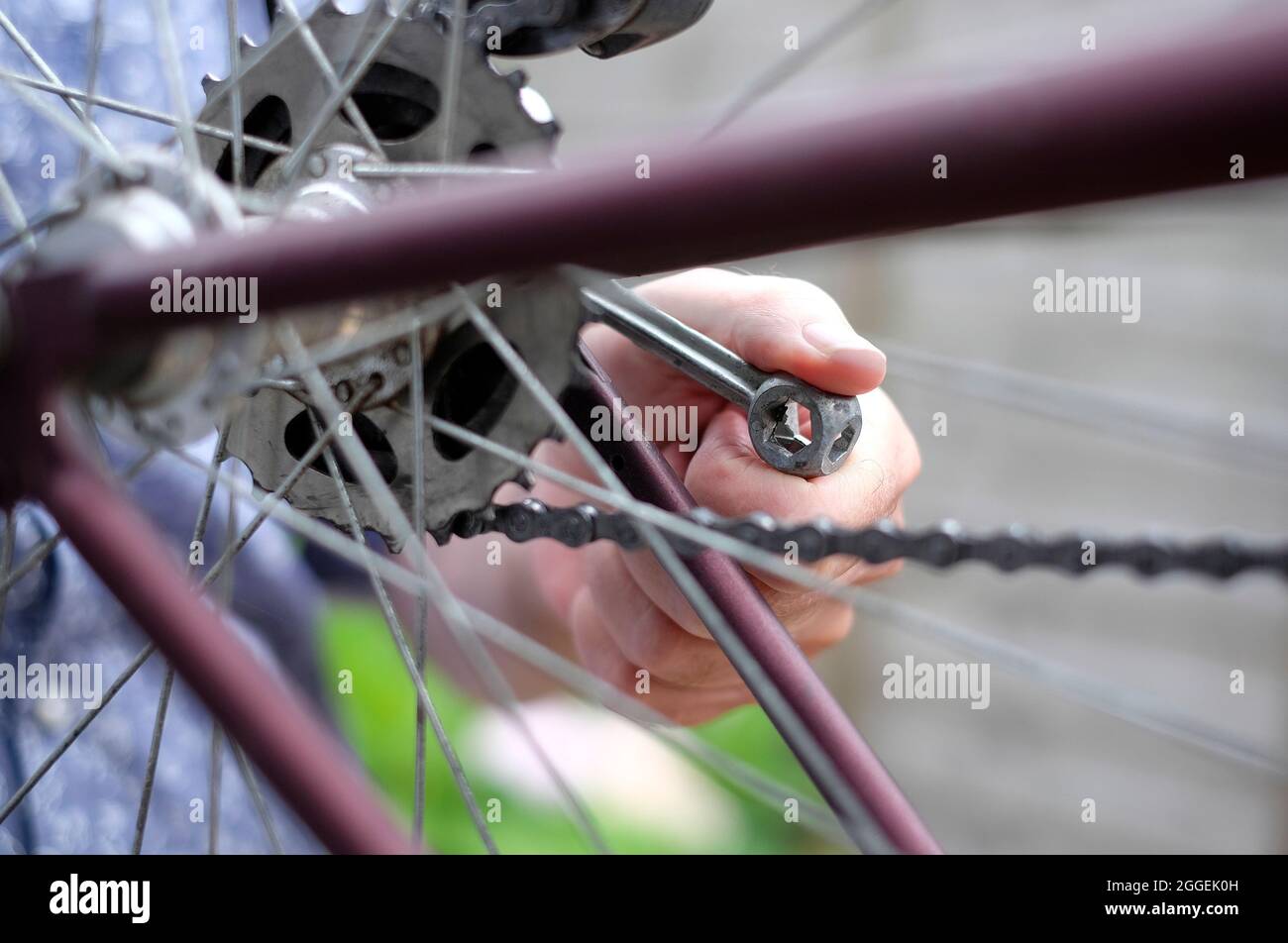 uomo che stringe il dado della ruota sulla mountain bike con chiave, norfolk, inghilterra Foto Stock