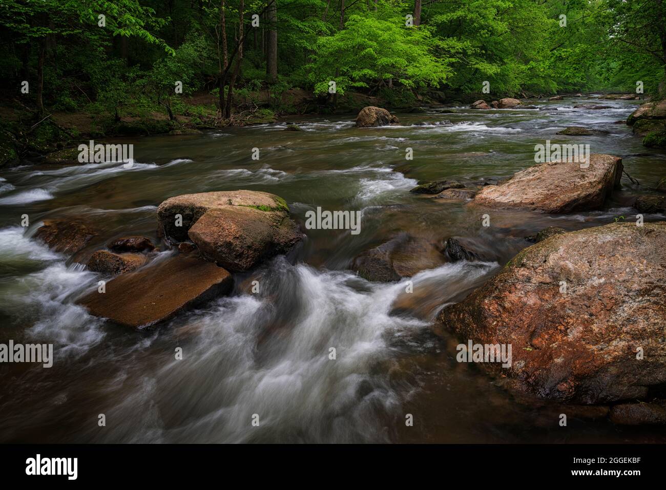 La molla sul Medio Patuxent River nella Contea di Howard, Maryland Foto Stock