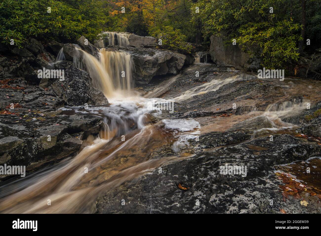 Cascate di Big Run vicino a Thomas, West Virginia Foto Stock