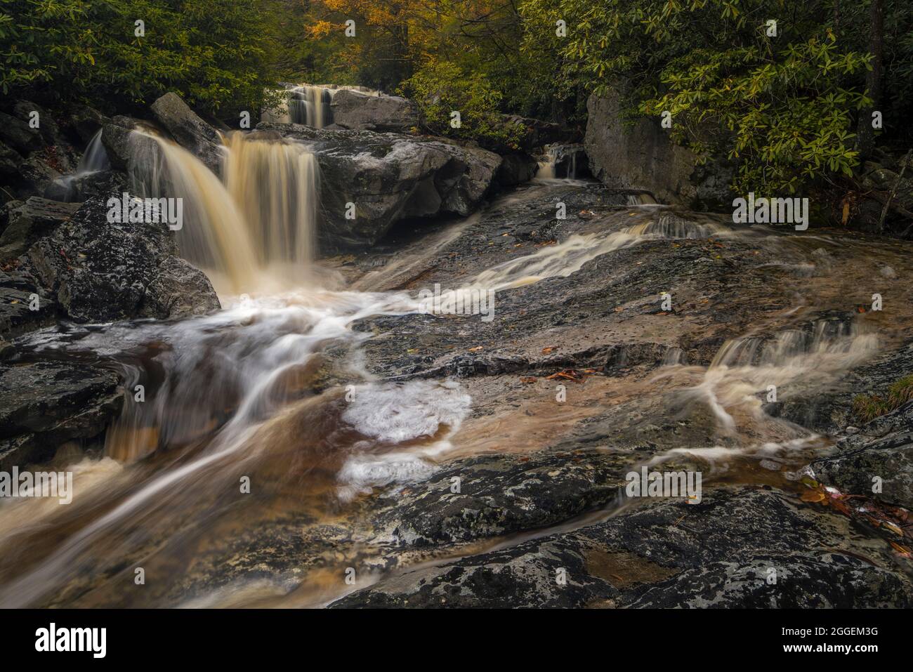 Cascate di Big Run vicino a Thomas, West Virginia Foto Stock